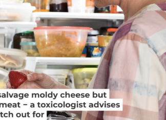 Molds on foods produce a range of microbial toxins and biochemical byproducts that can be harmful. JulieAlexK/iStock via Getty Images